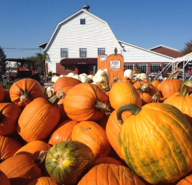 Huber's Orchard, Winery & Vineyards