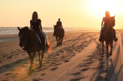 Group on Horseback in Cape Hatteras