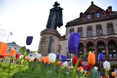 Albany City Hall