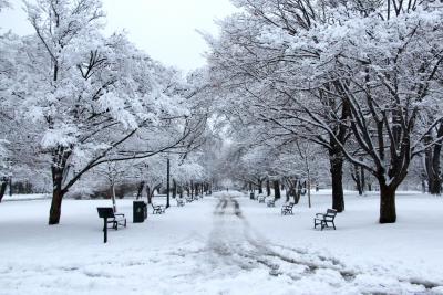 Washington Park Promenade in winter snows.