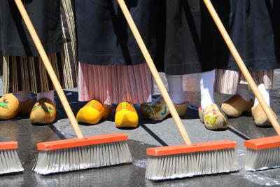 Albany Street Scrubbing