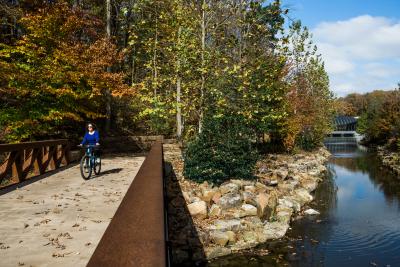 Crystal Bridges Trail with Bike Rider