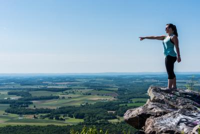 Bake Oven Knob