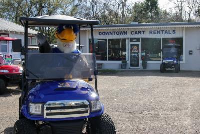 A mascot sitting in a blue golf cart parked in front of a building.