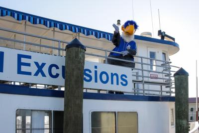 A person in a bird costume stands on the top deck of a docked ship.