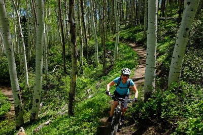 Wild Rose Trail on Emerald Mountain outside of Steamboat Springs