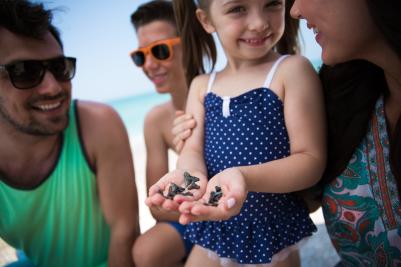 Shark Teeth on Englewood Beach