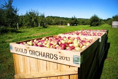 Goold Orchards