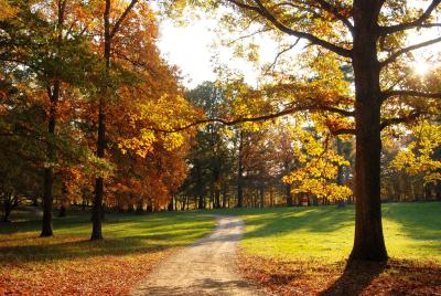 Albemarle County Fall Road