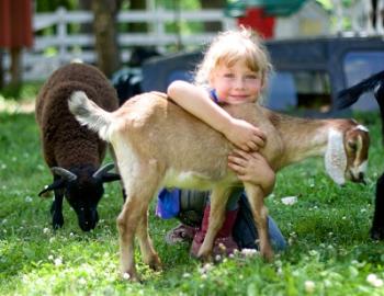 Natural Valley Ranch petting zoo