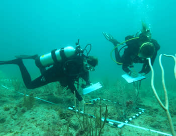 Photo of two scuba divers performing an underwater survey of the coral reef.