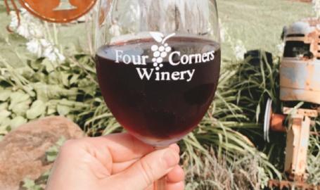 Winereis6
