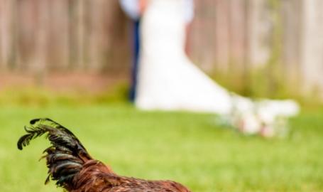 Wedding3