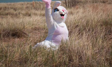 Easter Bunny on the beach