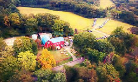 Art Barn overview