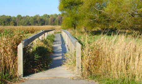 Bluhm Park trail - Westville