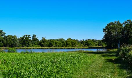 Brookdale Park Chesterton