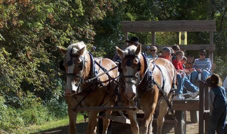 Buckley Homestead Things to Do Lowell Hayride