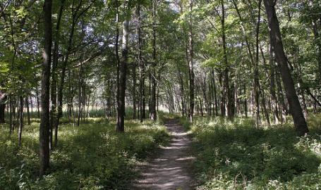 Calumet Trail