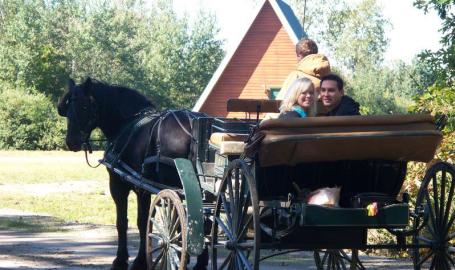 Carriage Ride