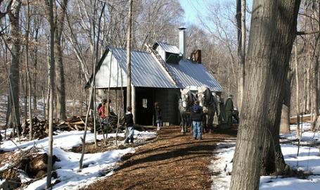 Chellberg Farms