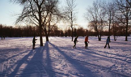 Cross Country Skiing