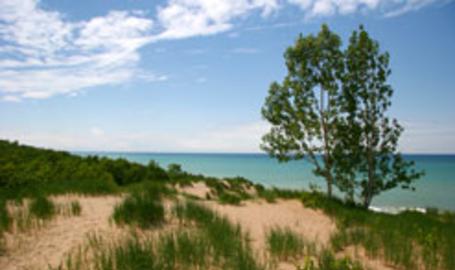Mount Baldy at Indiana Dunes National Park