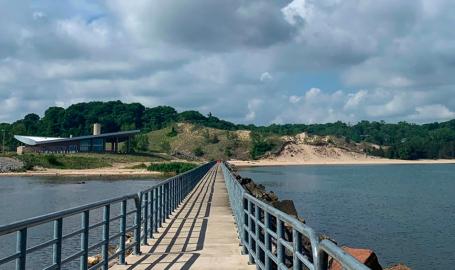 Dig the Dunes Trail Stop walkway