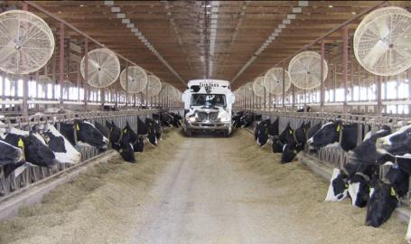 Fair Oaks Farms Things to Do Bus Barn