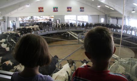 Fair Oaks Farms Dairy Adventure