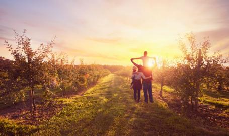 Fair Oaks Farms Orchard