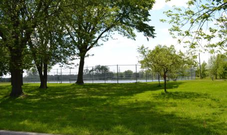 Forsythe Park Hammond tennis