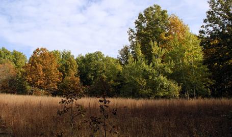 Glenwood Dunes