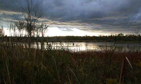 Great Marsh