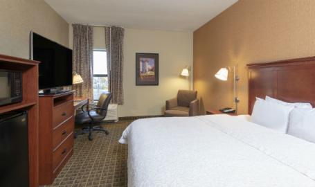 Hampton Inn & Suites Hotel Valparaiso King Room