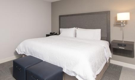 Hampton-inn-mighigan-city-king2