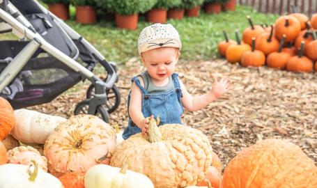 Harvest Tyme farm Pumpkin Patch