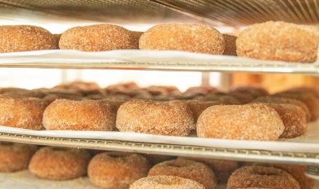 Harvest tyme pumpkin patch donuts