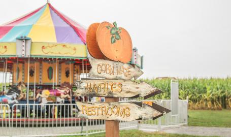 Harvest Tyme farm park merry go around