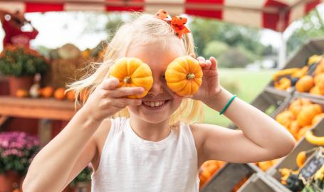 Harvest tyme pumpkin patch pumpkins