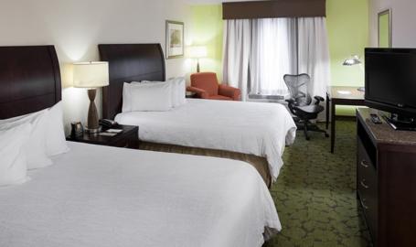 Hilton Garden Inn Merrillville Hotel double