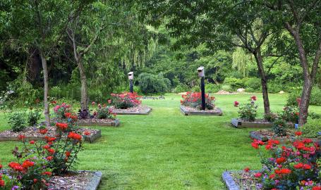 Rose Garden