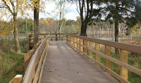 Indiana Dunes Great Marsh Trail
