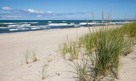 Beach at Indiana Dunes National Park
