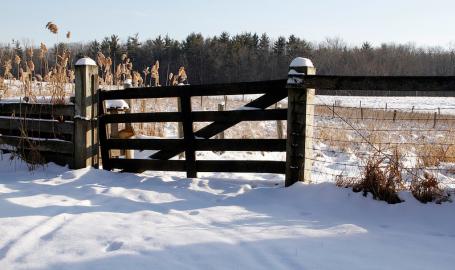 Chellberg Farm at Indiana Dunes National Park