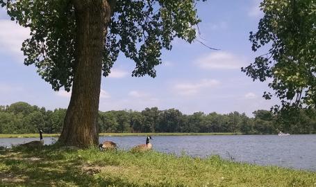 JC Murphey Lake at Willow Slough