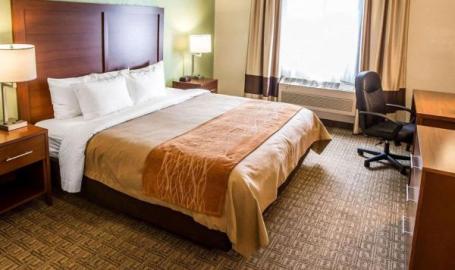 Single King Room Comfort Inn Hotel Hobart