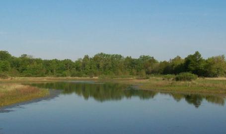 LaSalle Fish \u0026 Wildlife Area | Lake