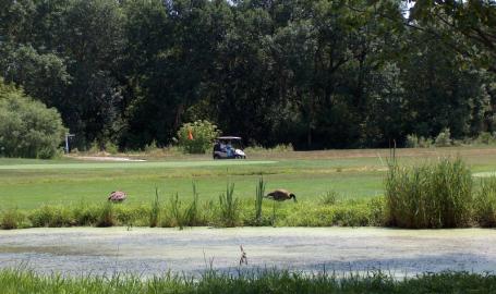 Lake County Parks Outdoors Cedar Creek Golf Cedar Lake