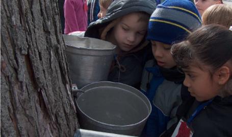 Lake County Parks Outdoors Maple Syrup Time Deep River Hobart